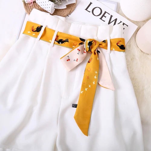 Ceinture Foulard Pantalon 2